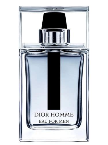 dior homme fragrance 2014|Dior Homme eau fragrantica.